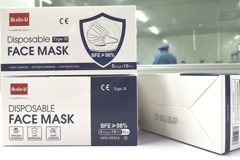 Blaue 3 Schicht-medizinische Wegwerfpartikelrespirator-Masken-Art II 10Pcs/Box